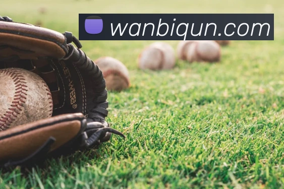 开云手机网页登录网页APP 封面图